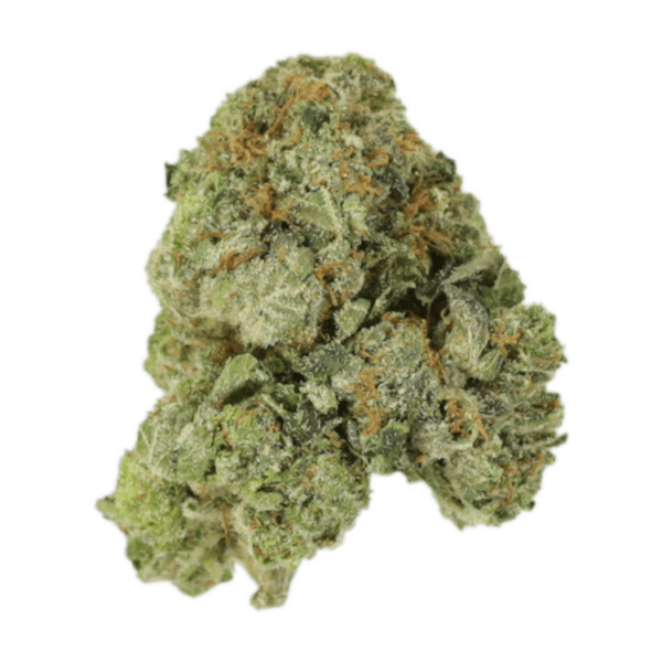 White Russian | Herbarium Canada