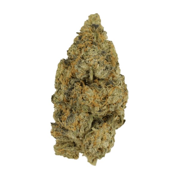Citrus Funk | Herbarium Canada