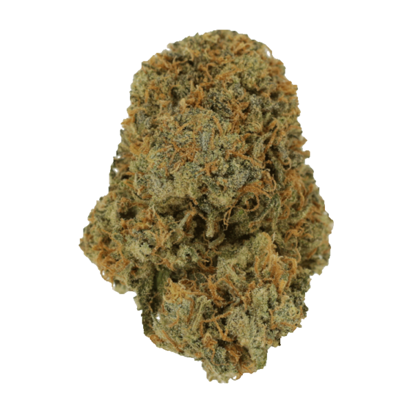 Fruit Punch | Herbarium Canada