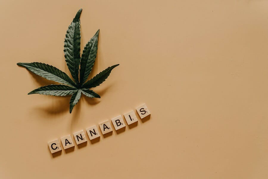 Cannabis weed | Herbarium Canada