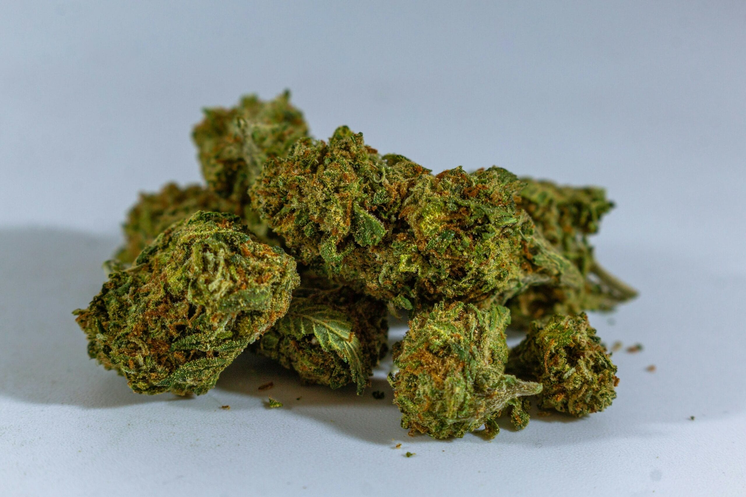 cheap-weed-online-canada | Herbarium Canada